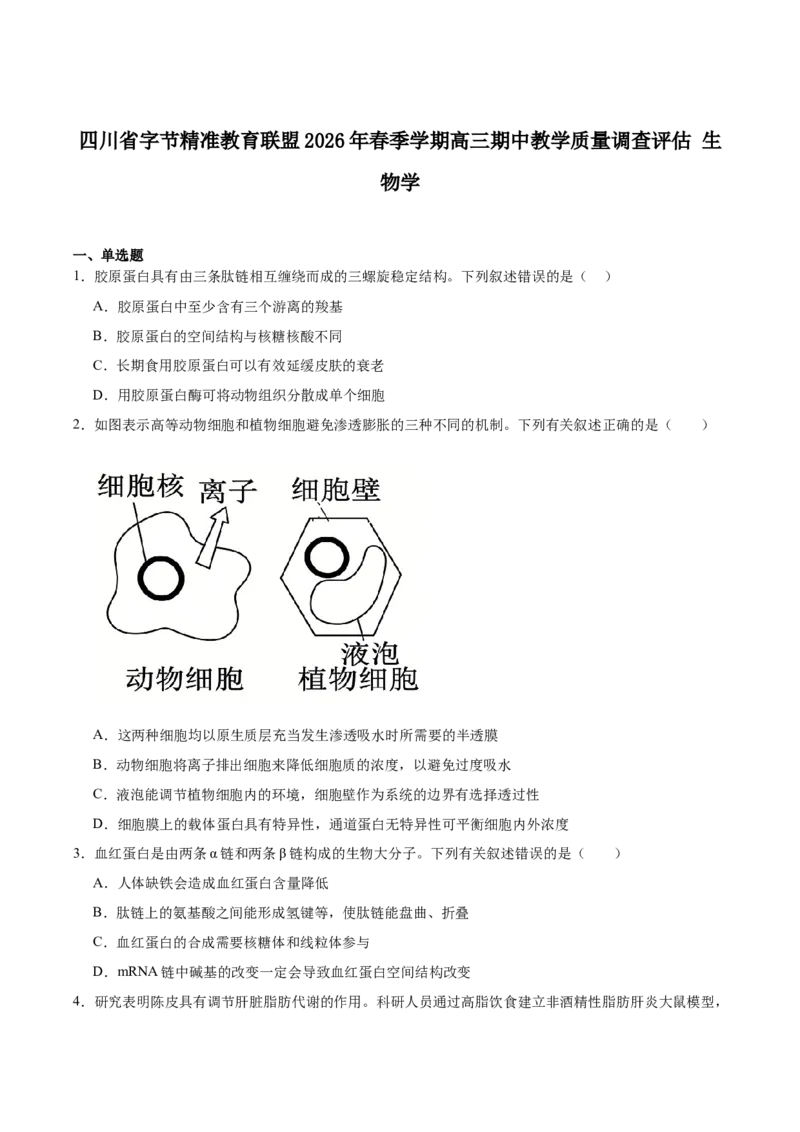 字节精准教育联盟2026届高三下学期4月期中考试生物+答案_2024-2026高三（6-6月题库）_2026年04月高三试卷_260429四川省字节精准教育联盟2026届高三下学期4月期中考试（全科）