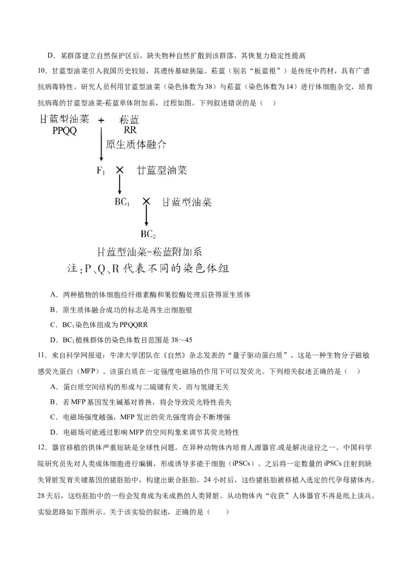 字节精准教育联盟2026届高三下学期4月期中考试生物+答案_2024-2026高三（6-6月题库）_2026年04月高三试卷_260429四川省字节精准教育联盟2026届高三下学期4月期中考试（全科）