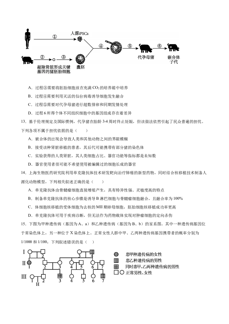 字节精准教育联盟2026届高三下学期4月期中考试生物+答案_2024-2026高三（6-6月题库）_2026年04月高三试卷_260429四川省字节精准教育联盟2026届高三下学期4月期中考试（全科）