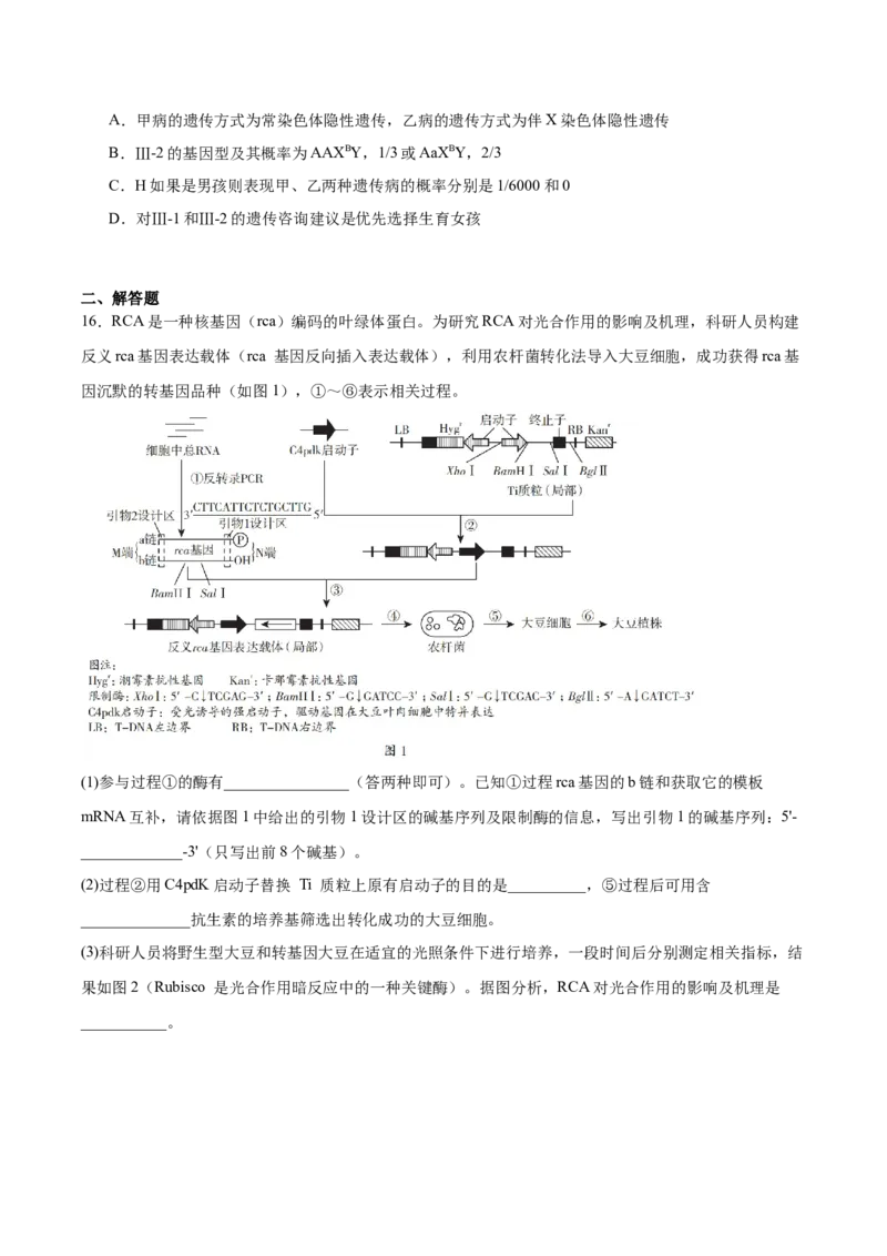 字节精准教育联盟2026届高三下学期4月期中考试生物+答案_2024-2026高三（6-6月题库）_2026年04月高三试卷_260429四川省字节精准教育联盟2026届高三下学期4月期中考试（全科）