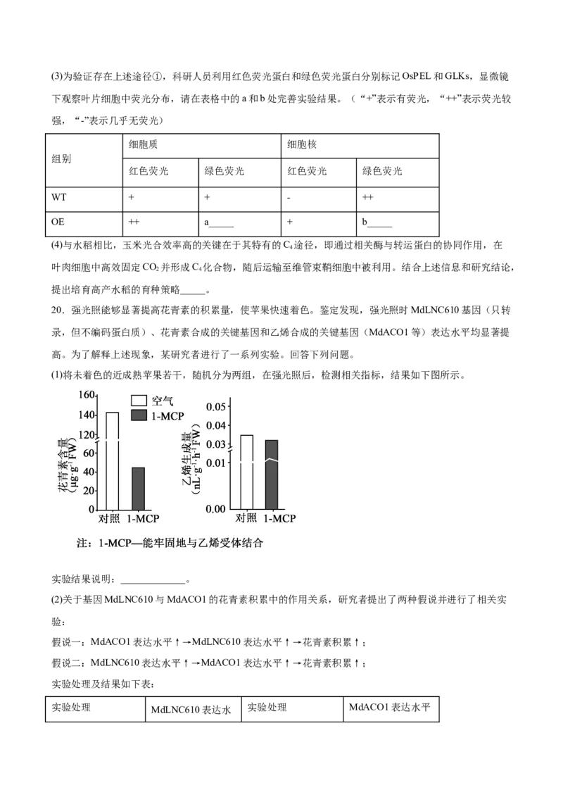 字节精准教育联盟2026届高三下学期4月期中考试生物+答案_2024-2026高三（6-6月题库）_2026年04月高三试卷_260429四川省字节精准教育联盟2026届高三下学期4月期中考试（全科）