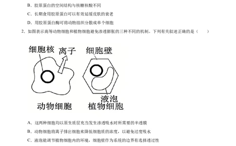 字节精准教育联盟2026届高三下学期4月期中考试生物+答案_2024-2026高三（6-6月题库）_2026年04月高三试卷_260429四川省字节精准教育联盟2026届高三下学期4月期中考试（全科）