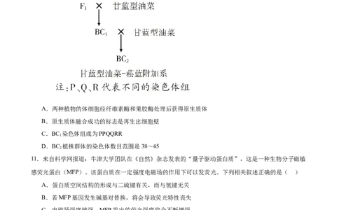 字节精准教育联盟2026届高三下学期4月期中考试生物+答案_2024-2026高三（6-6月题库）_2026年04月高三试卷_260429四川省字节精准教育联盟2026届高三下学期4月期中考试（全科）
