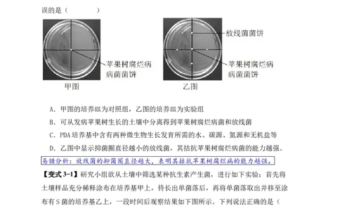 易错点16生物技术的&ldquo;四个&rdquo;易混点辨析（原卷版）_新高考复习资料_2024年新高考复习资料_❤专项复习资料_完备战2024年高考生物考试易错题（新高考专用）