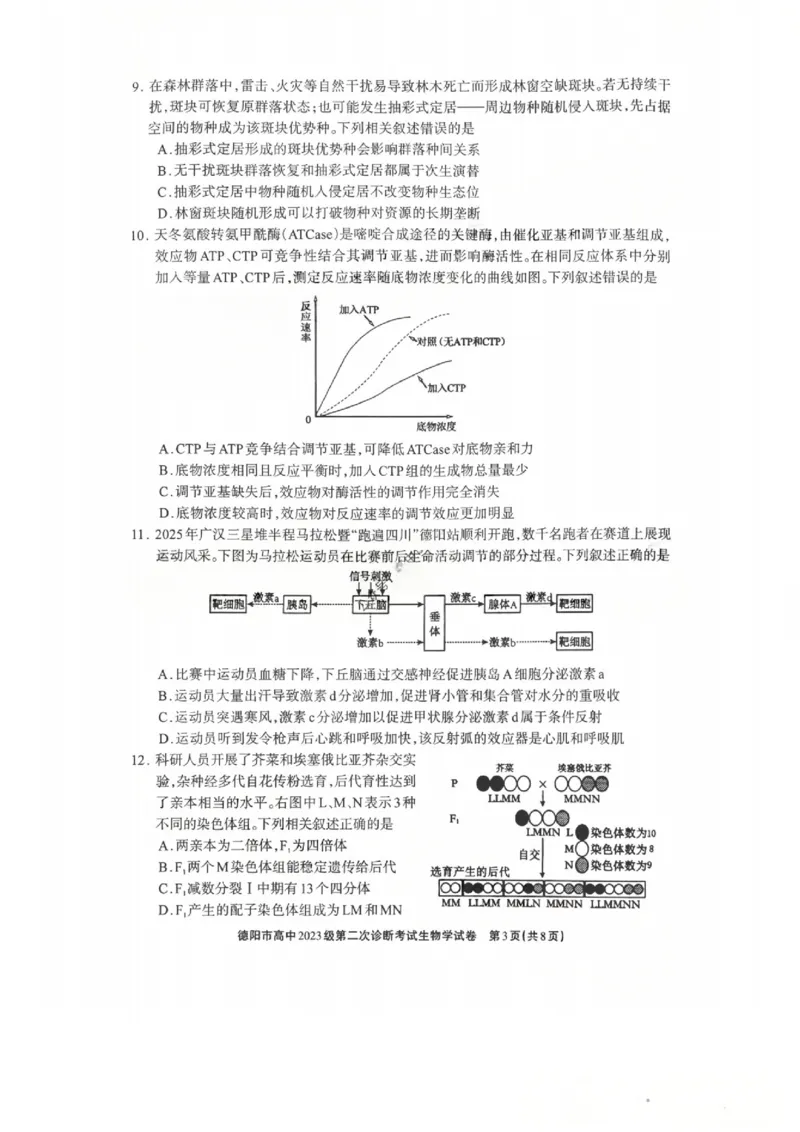 生物试题_2024-2026高三（6-6月题库）_2026年03月高三试卷_260320四川省德阳市高中2023级第二次诊断考试（德阳二诊）（全科）