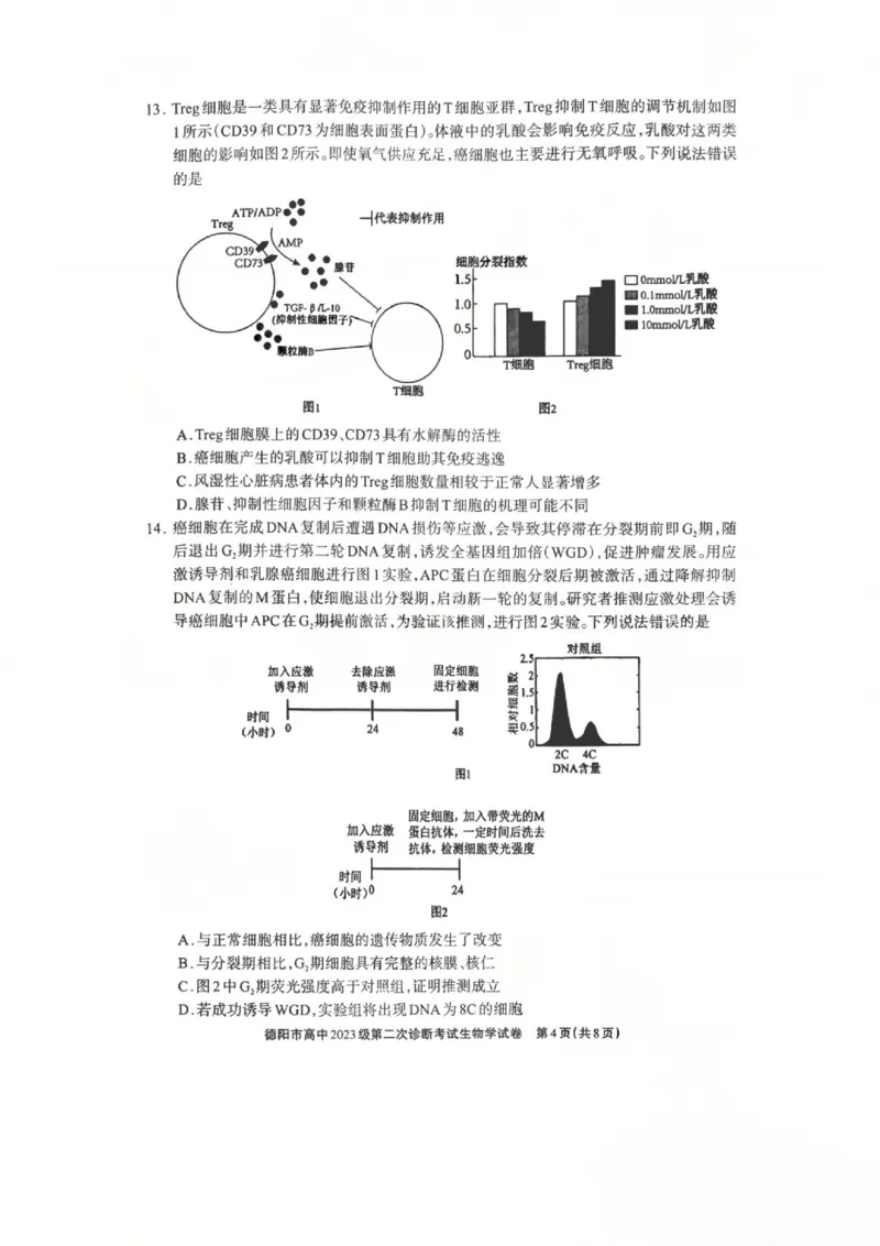生物试题_2024-2026高三（6-6月题库）_2026年03月高三试卷_260320四川省德阳市高中2023级第二次诊断考试（德阳二诊）（全科）