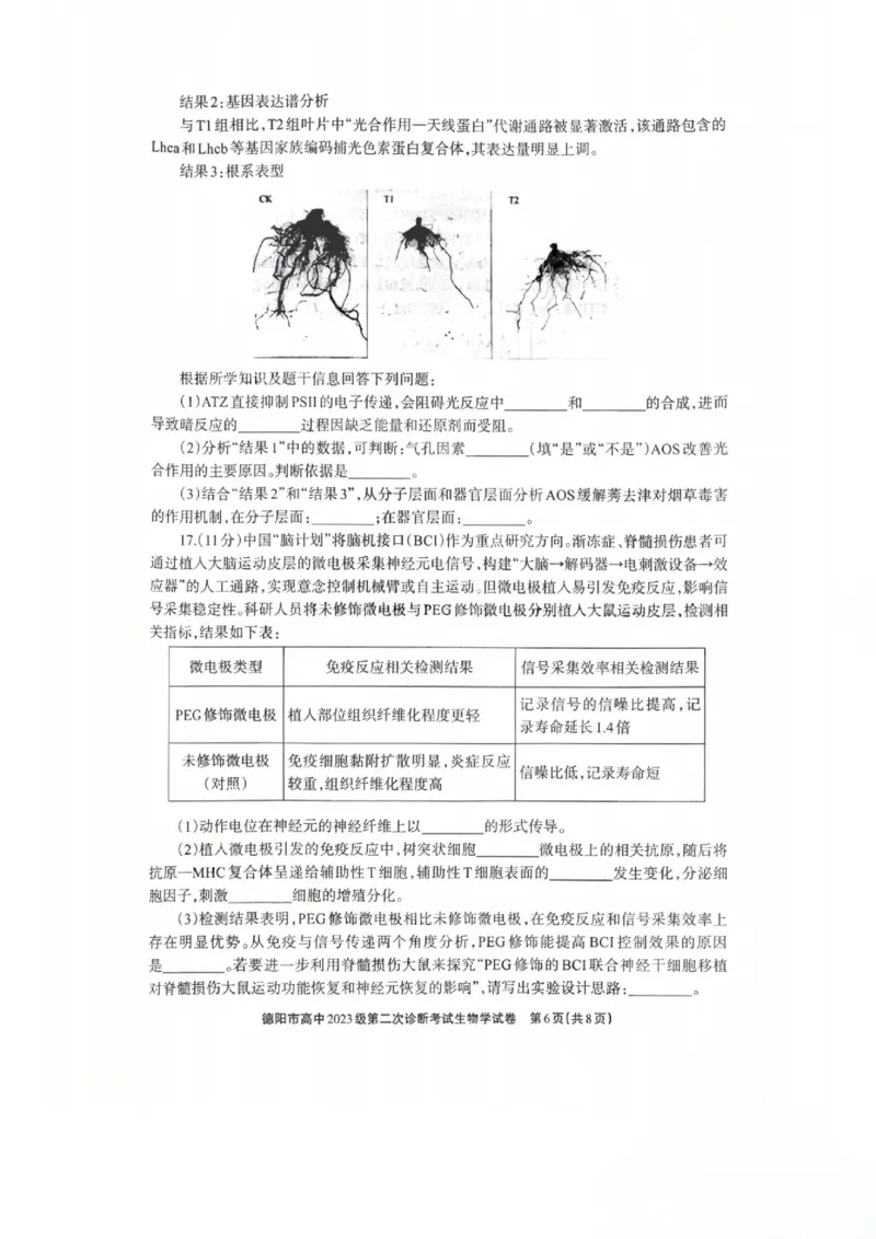 生物试题_2024-2026高三（6-6月题库）_2026年03月高三试卷_260320四川省德阳市高中2023级第二次诊断考试（德阳二诊）（全科）