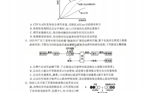 生物试题_2024-2026高三（6-6月题库）_2026年03月高三试卷_260320四川省德阳市高中2023级第二次诊断考试（德阳二诊）（全科）