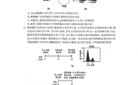 生物试题_2024-2026高三（6-6月题库）_2026年03月高三试卷_260320四川省德阳市高中2023级第二次诊断考试（德阳二诊）（全科）