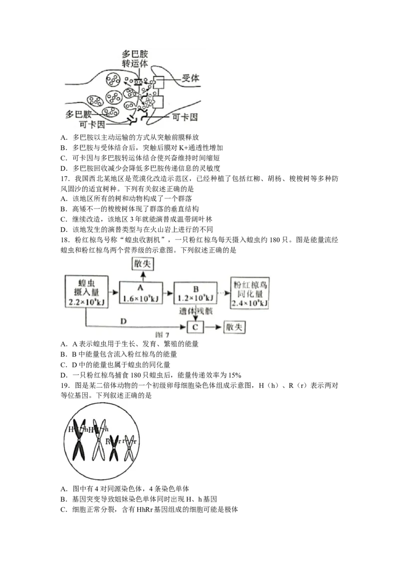 广西柳州市2022-2023学年新高三摸底考试生物试题（word版有答案）_生物高考模拟题_老高考_2023年