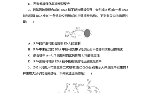 夯基提能练20基因的表达-备战2023高考生物一轮复习夯基提能练（全国通用）（原卷版）_通用版（老高考）复习资料_2023年复习资料_一轮复习