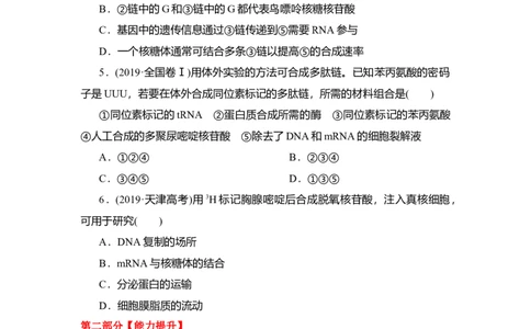 夯基提能练20基因的表达-备战2023高考生物一轮复习夯基提能练（全国通用）（原卷版）_通用版（老高考）复习资料_2023年复习资料_一轮复习