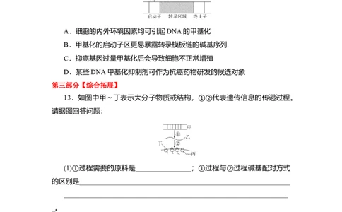 夯基提能练20基因的表达-备战2023高考生物一轮复习夯基提能练（全国通用）（原卷版）_通用版（老高考）复习资料_2023年复习资料_一轮复习