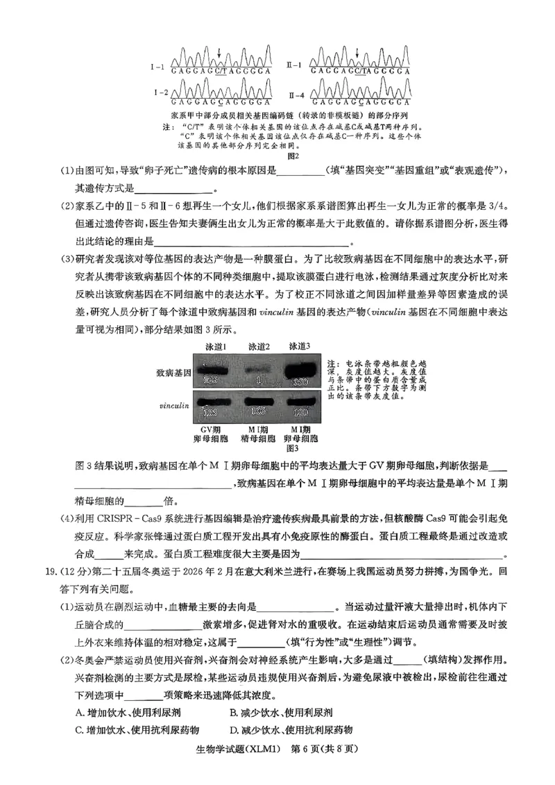 湖南省新高考教学教研联盟（长郡二十校联盟）2026届高三年级下学期3月联考生物学试卷_2024-2026高三（6-6月题库）_2026年03月高三试卷