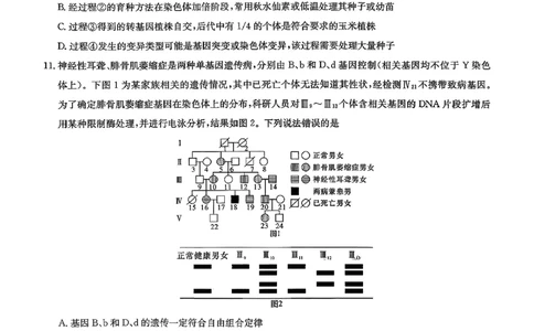 湖南省新高考教学教研联盟（长郡二十校联盟）2026届高三年级下学期3月联考生物学试卷_2024-2026高三（6-6月题库）_2026年03月高三试卷