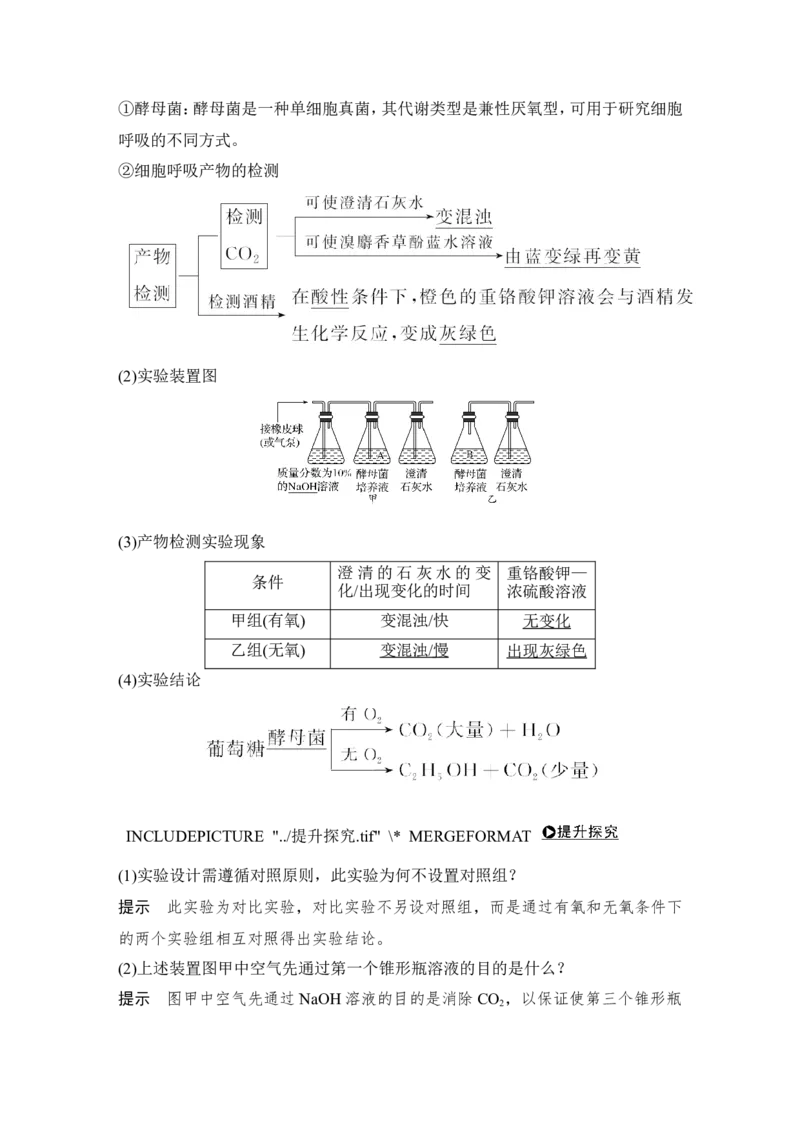 必修一第三单元第8讲_新高考复习资料_2022年新高考复习资料_2022年一轮复习最新版_1.2022年高考生物一轮复习全国通用版_2022年新高考生物一轮复习讲义（最新版）_赠送word习题库