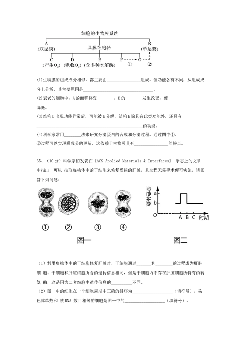 山东省泰安一中老校区（新泰中学）2022-2023学年高三上学期第一次月考生物试题_生物高考模拟题_新高考_2023年