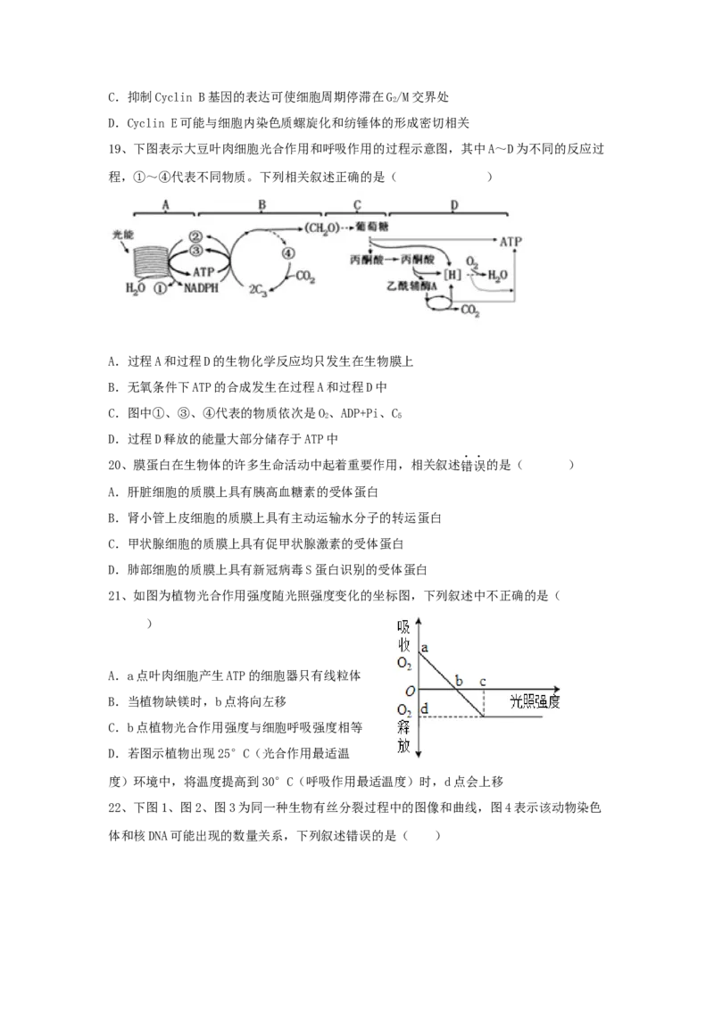 山东省泰安一中老校区（新泰中学）2022-2023学年高三上学期第一次月考生物试题_生物高考模拟题_新高考_2023年