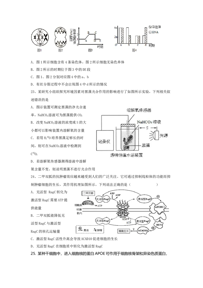 山东省泰安一中老校区（新泰中学）2022-2023学年高三上学期第一次月考生物试题_生物高考模拟题_新高考_2023年