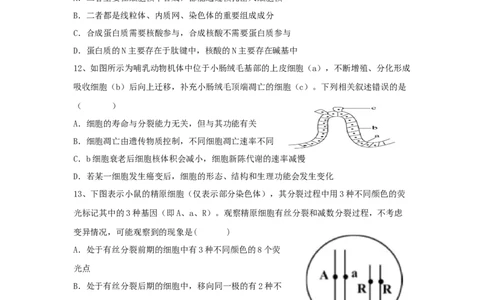 山东省泰安一中老校区（新泰中学）2022-2023学年高三上学期第一次月考生物试题_生物高考模拟题_新高考_2023年