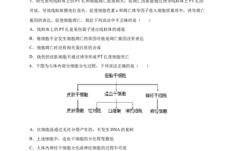 易错点11细胞的分化、衰老、凋亡与癌变-备战2023年高考生物考试易错题（新教材新高考）（原卷版）_新高考复习资料_2023年新高考复习资料_专项复习