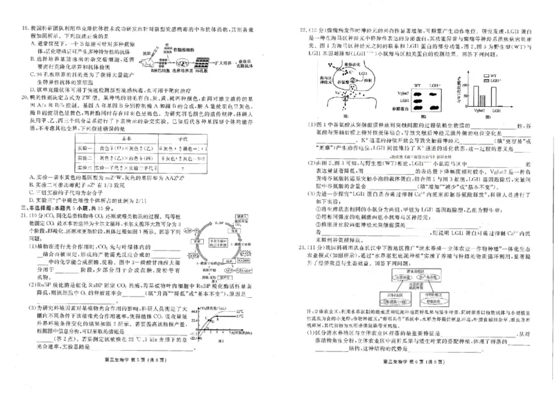 生物_2024-2026高三（6-6月题库）_2026年03月高三试卷_2603252026年辽宁点石联考高三年级3月学情调研_2026年辽宁点石联考高三年级3月学情调研生物