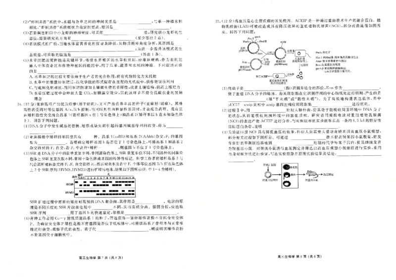 生物_2024-2026高三（6-6月题库）_2026年03月高三试卷_2603252026年辽宁点石联考高三年级3月学情调研_2026年辽宁点石联考高三年级3月学情调研生物