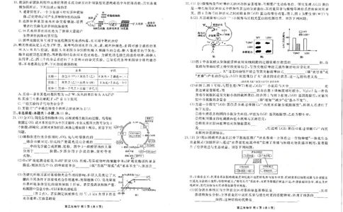 生物_2024-2026高三（6-6月题库）_2026年03月高三试卷_2603252026年辽宁点石联考高三年级3月学情调研_2026年辽宁点石联考高三年级3月学情调研生物