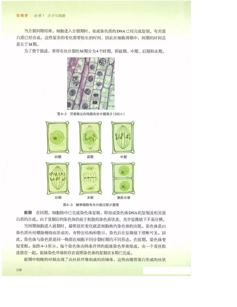 2019新浙科版高中生物必修1《分子与细胞》电子课本_高中电子课本_最新版高中全科高清电子课本_6高中生物课本_浙科版高中生物