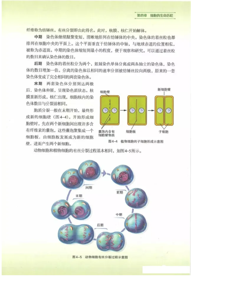 2019新浙科版高中生物必修1《分子与细胞》电子课本_高中电子课本_最新版高中全科高清电子课本_6高中生物课本_浙科版高中生物