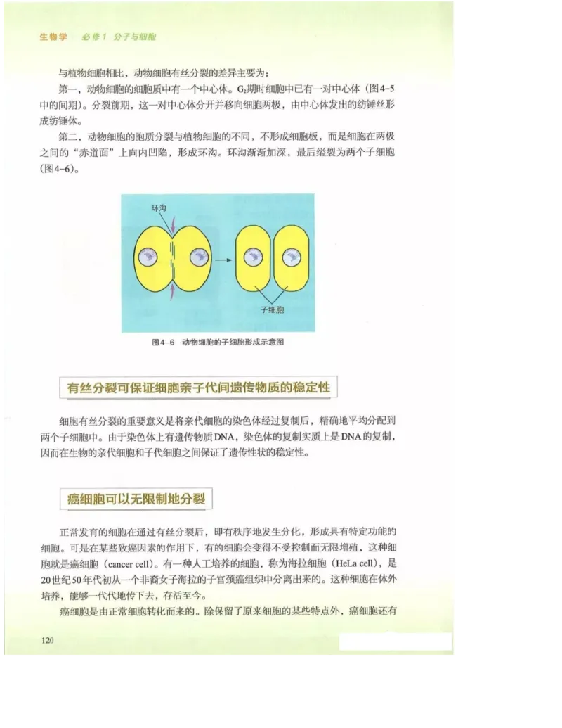 2019新浙科版高中生物必修1《分子与细胞》电子课本_高中电子课本_最新版高中全科高清电子课本_6高中生物课本_浙科版高中生物