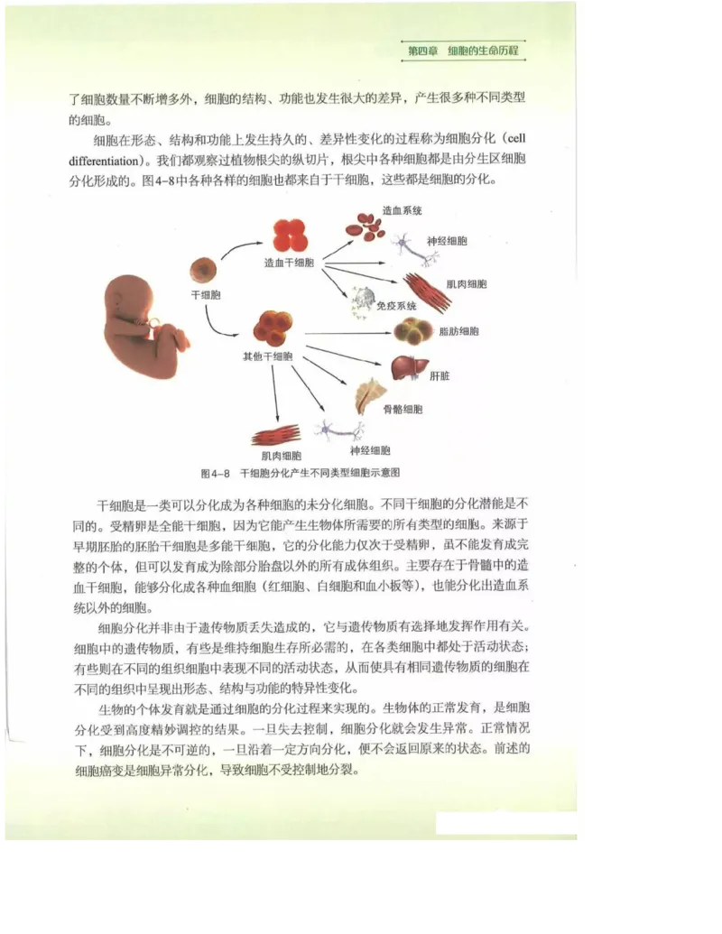 2019新浙科版高中生物必修1《分子与细胞》电子课本_高中电子课本_最新版高中全科高清电子课本_6高中生物课本_浙科版高中生物