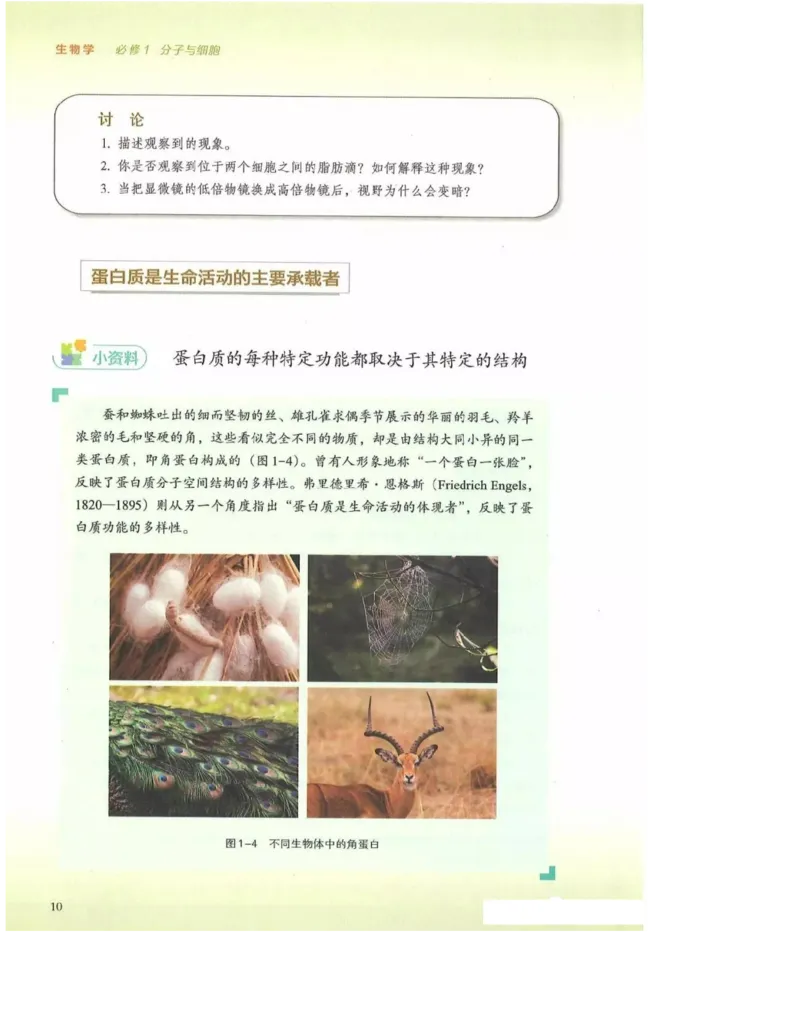 2019新浙科版高中生物必修1《分子与细胞》电子课本_高中电子课本_最新版高中全科高清电子课本_6高中生物课本_浙科版高中生物