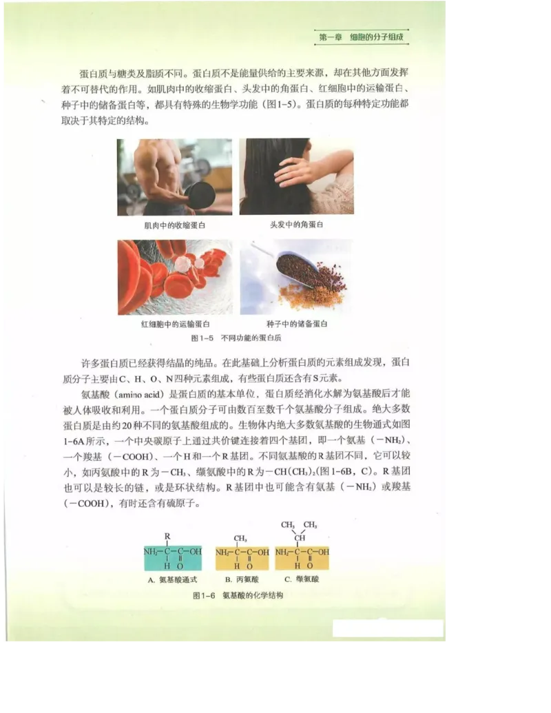 2019新浙科版高中生物必修1《分子与细胞》电子课本_高中电子课本_最新版高中全科高清电子课本_6高中生物课本_浙科版高中生物