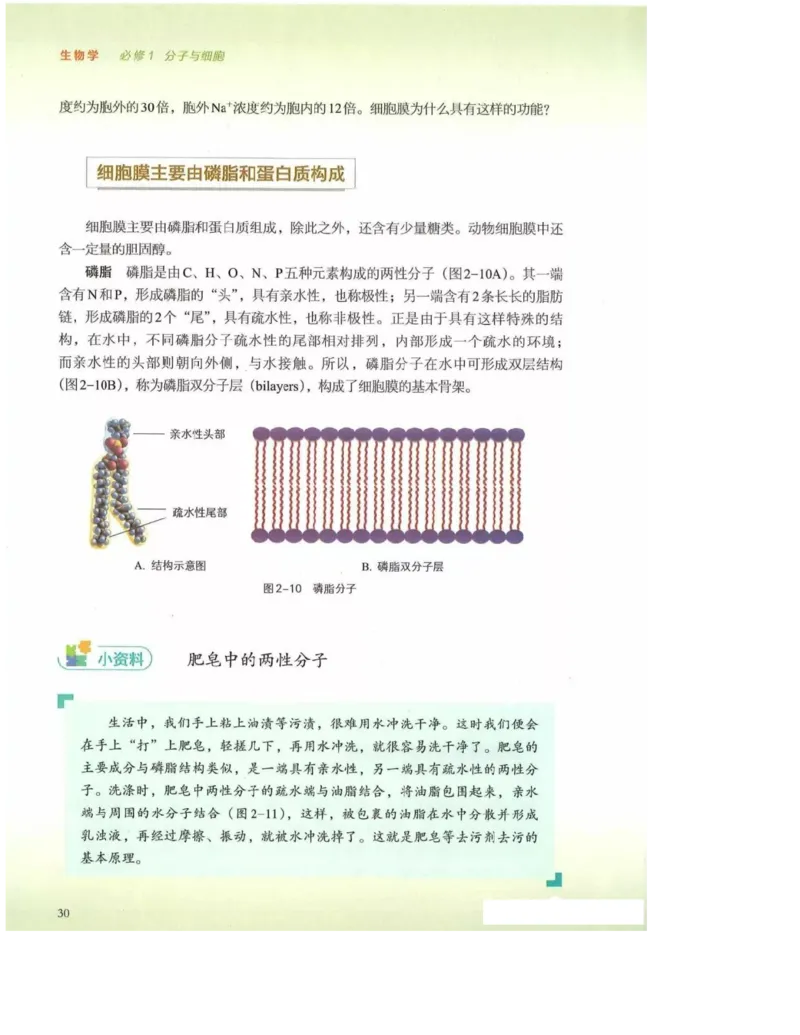 2019新浙科版高中生物必修1《分子与细胞》电子课本_高中电子课本_最新版高中全科高清电子课本_6高中生物课本_浙科版高中生物