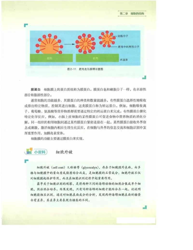 2019新浙科版高中生物必修1《分子与细胞》电子课本_高中电子课本_最新版高中全科高清电子课本_6高中生物课本_浙科版高中生物