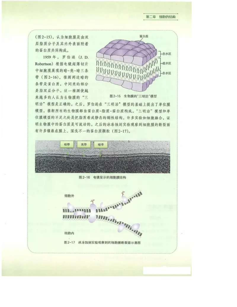 2019新浙科版高中生物必修1《分子与细胞》电子课本_高中电子课本_最新版高中全科高清电子课本_6高中生物课本_浙科版高中生物