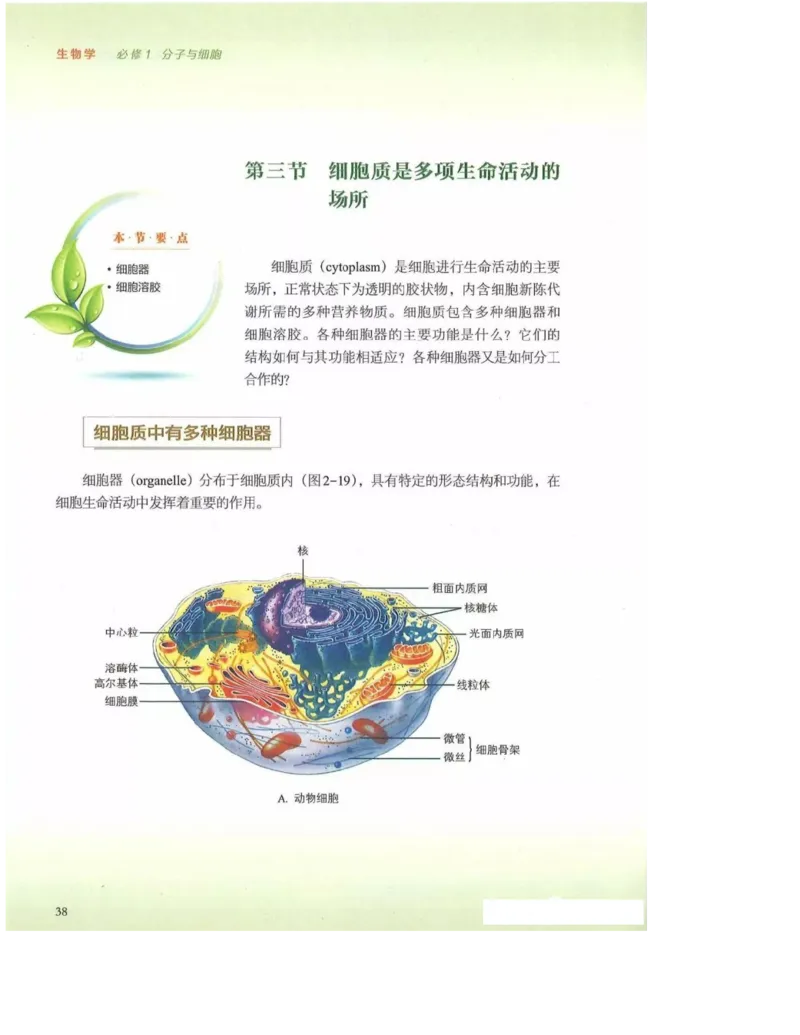 2019新浙科版高中生物必修1《分子与细胞》电子课本_高中电子课本_最新版高中全科高清电子课本_6高中生物课本_浙科版高中生物