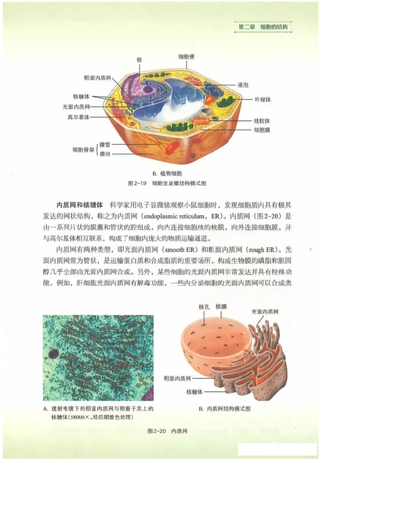 2019新浙科版高中生物必修1《分子与细胞》电子课本_高中电子课本_最新版高中全科高清电子课本_6高中生物课本_浙科版高中生物