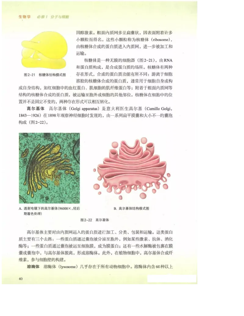 2019新浙科版高中生物必修1《分子与细胞》电子课本_高中电子课本_最新版高中全科高清电子课本_6高中生物课本_浙科版高中生物