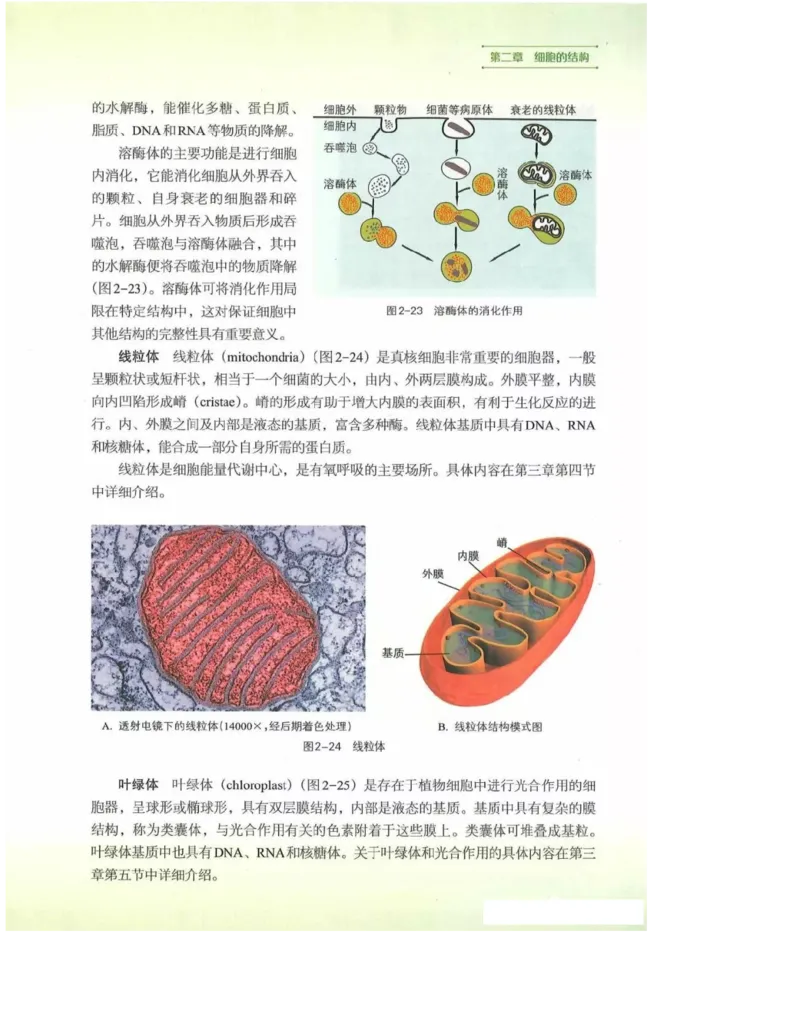 2019新浙科版高中生物必修1《分子与细胞》电子课本_高中电子课本_最新版高中全科高清电子课本_6高中生物课本_浙科版高中生物