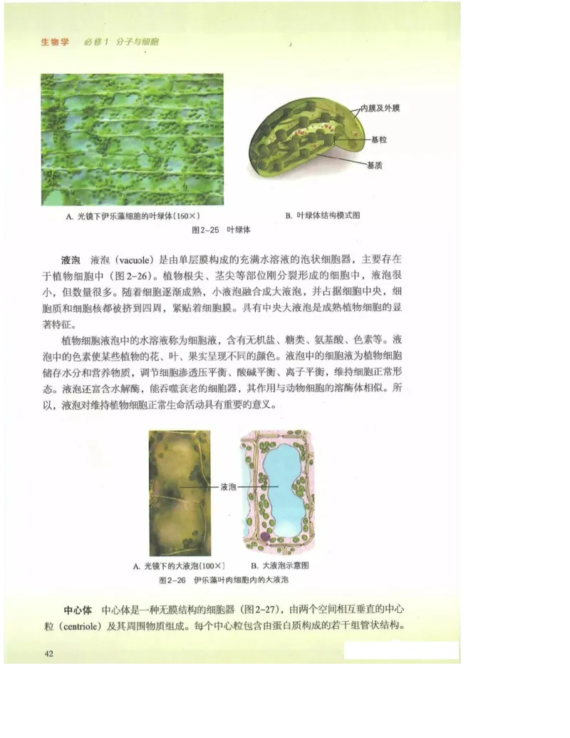 2019新浙科版高中生物必修1《分子与细胞》电子课本_高中电子课本_最新版高中全科高清电子课本_6高中生物课本_浙科版高中生物