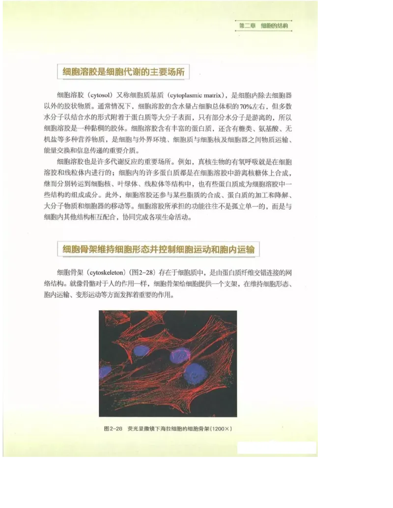 2019新浙科版高中生物必修1《分子与细胞》电子课本_高中电子课本_最新版高中全科高清电子课本_6高中生物课本_浙科版高中生物