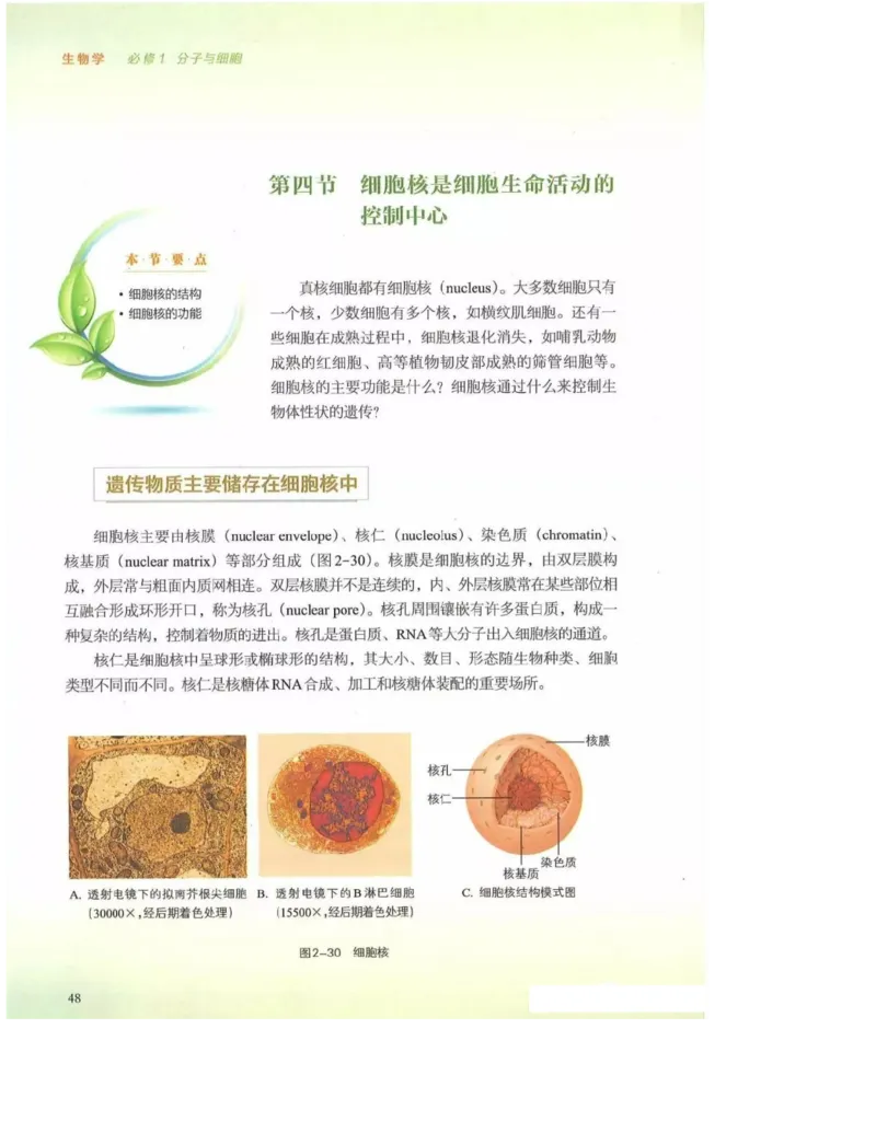 2019新浙科版高中生物必修1《分子与细胞》电子课本_高中电子课本_最新版高中全科高清电子课本_6高中生物课本_浙科版高中生物