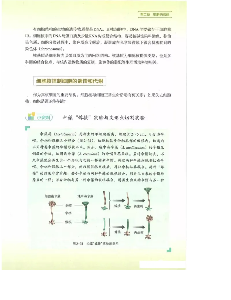 2019新浙科版高中生物必修1《分子与细胞》电子课本_高中电子课本_最新版高中全科高清电子课本_6高中生物课本_浙科版高中生物