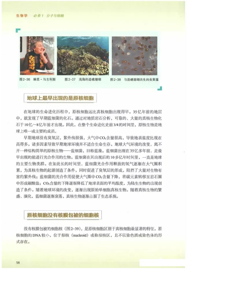2019新浙科版高中生物必修1《分子与细胞》电子课本_高中电子课本_最新版高中全科高清电子课本_6高中生物课本_浙科版高中生物