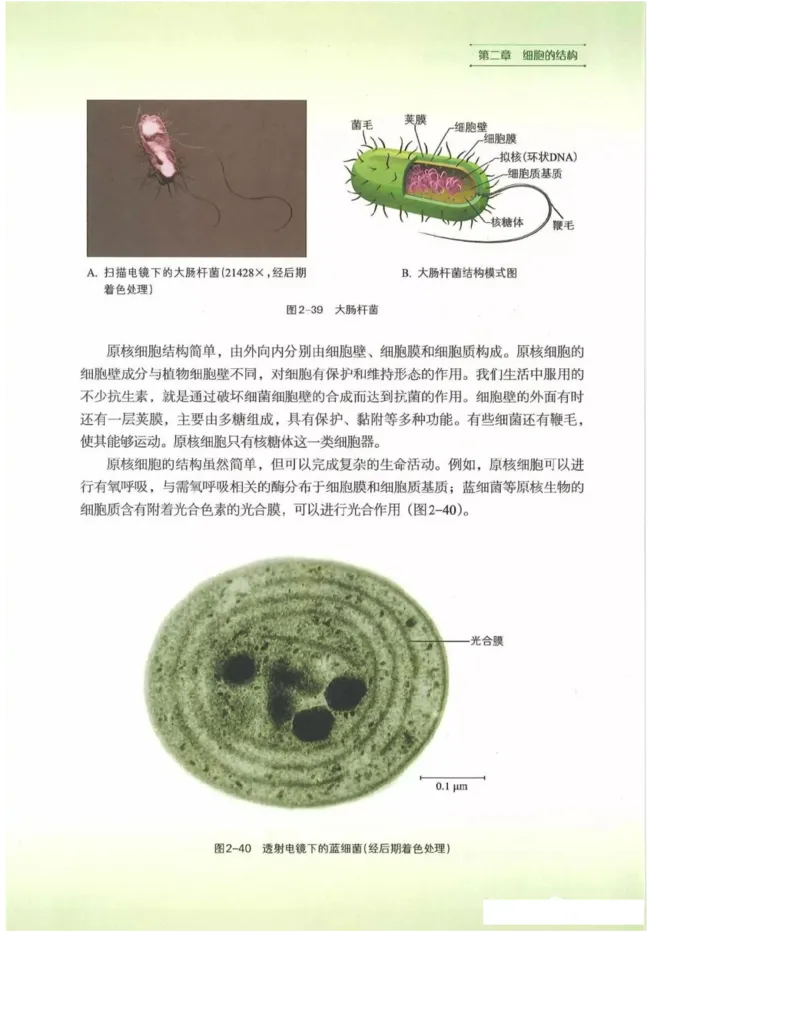 2019新浙科版高中生物必修1《分子与细胞》电子课本_高中电子课本_最新版高中全科高清电子课本_6高中生物课本_浙科版高中生物