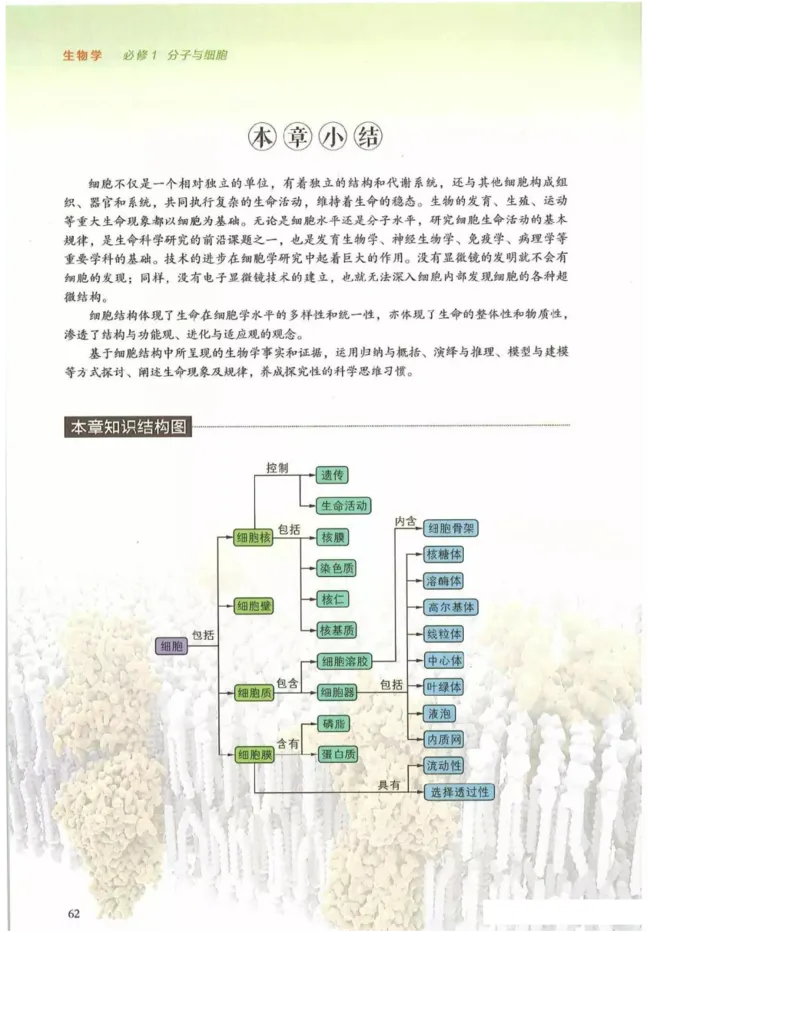 2019新浙科版高中生物必修1《分子与细胞》电子课本_高中电子课本_最新版高中全科高清电子课本_6高中生物课本_浙科版高中生物