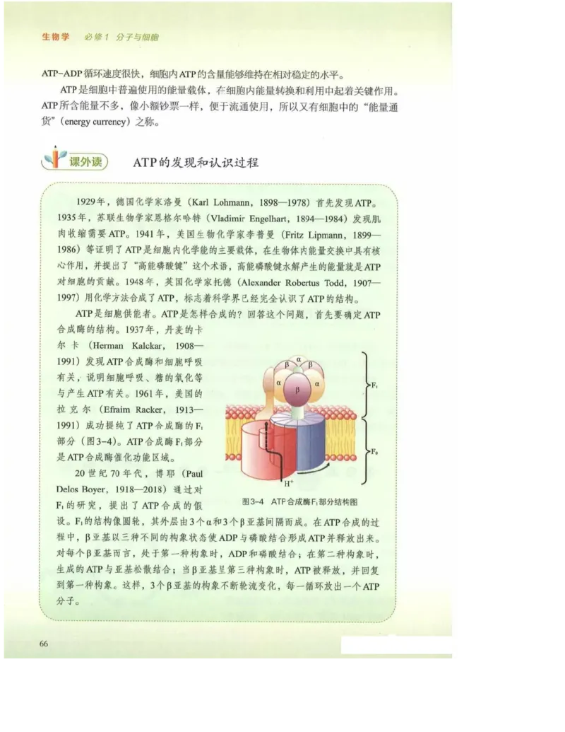 2019新浙科版高中生物必修1《分子与细胞》电子课本_高中电子课本_最新版高中全科高清电子课本_6高中生物课本_浙科版高中生物
