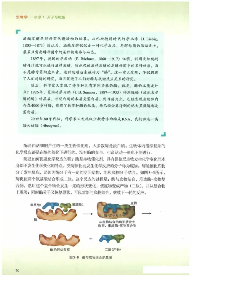 2019新浙科版高中生物必修1《分子与细胞》电子课本_高中电子课本_最新版高中全科高清电子课本_6高中生物课本_浙科版高中生物